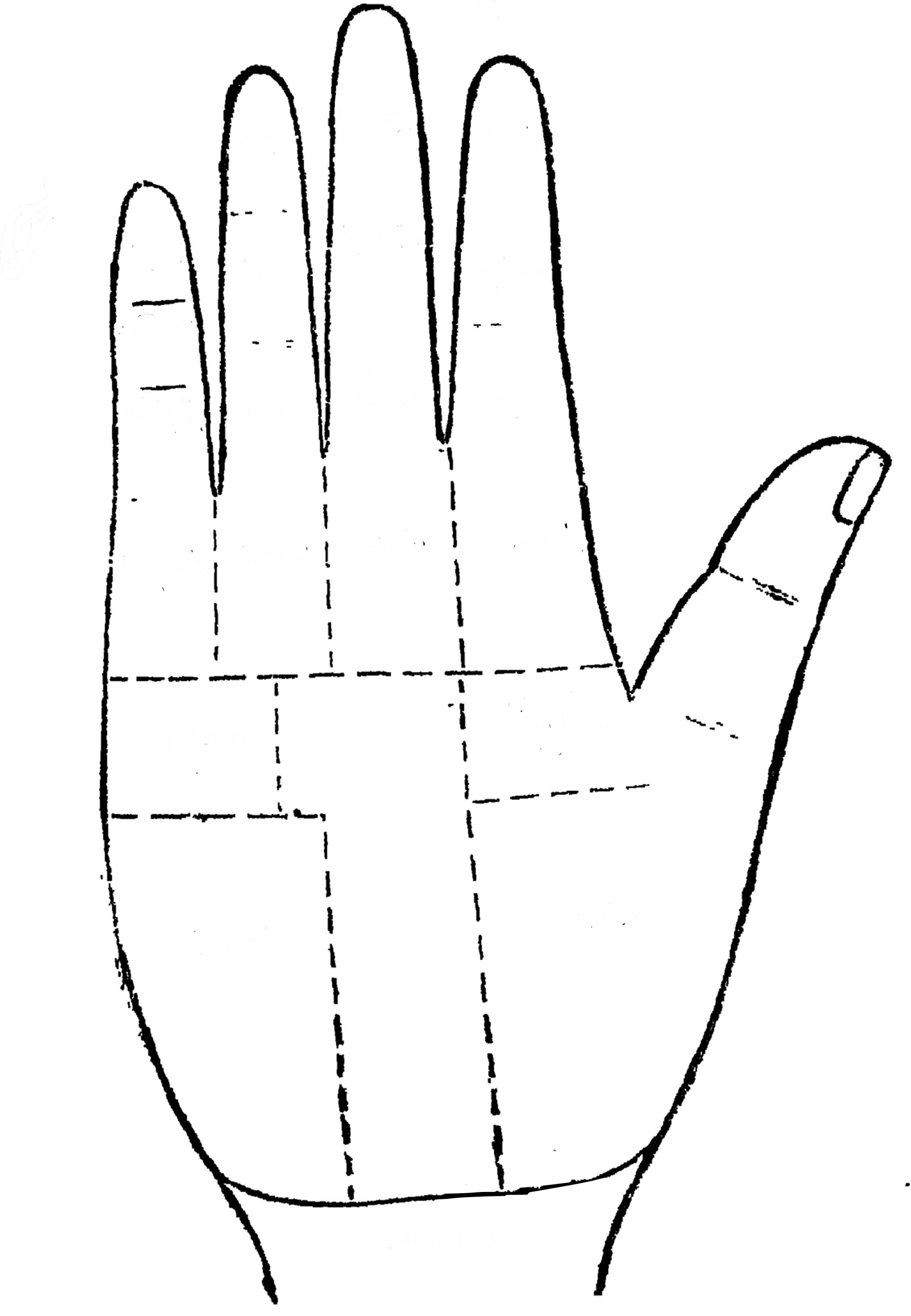 Palm plate showing the mounts, the finger phalanges and the rascettes — Mount of Mars (Lower / Negative)
